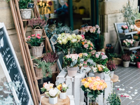 Devanture d'un magasin de fleurs, bouquets et plantes en présentation