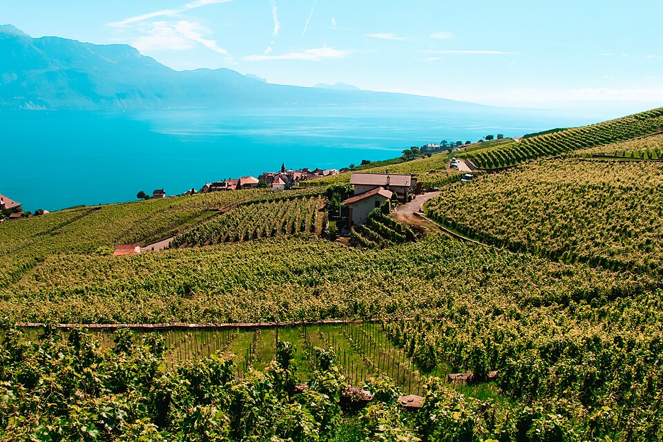 Lavaux depuis Chexbres