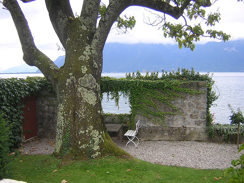 Le jardin de la Villa « Le Lac », Corseaux
